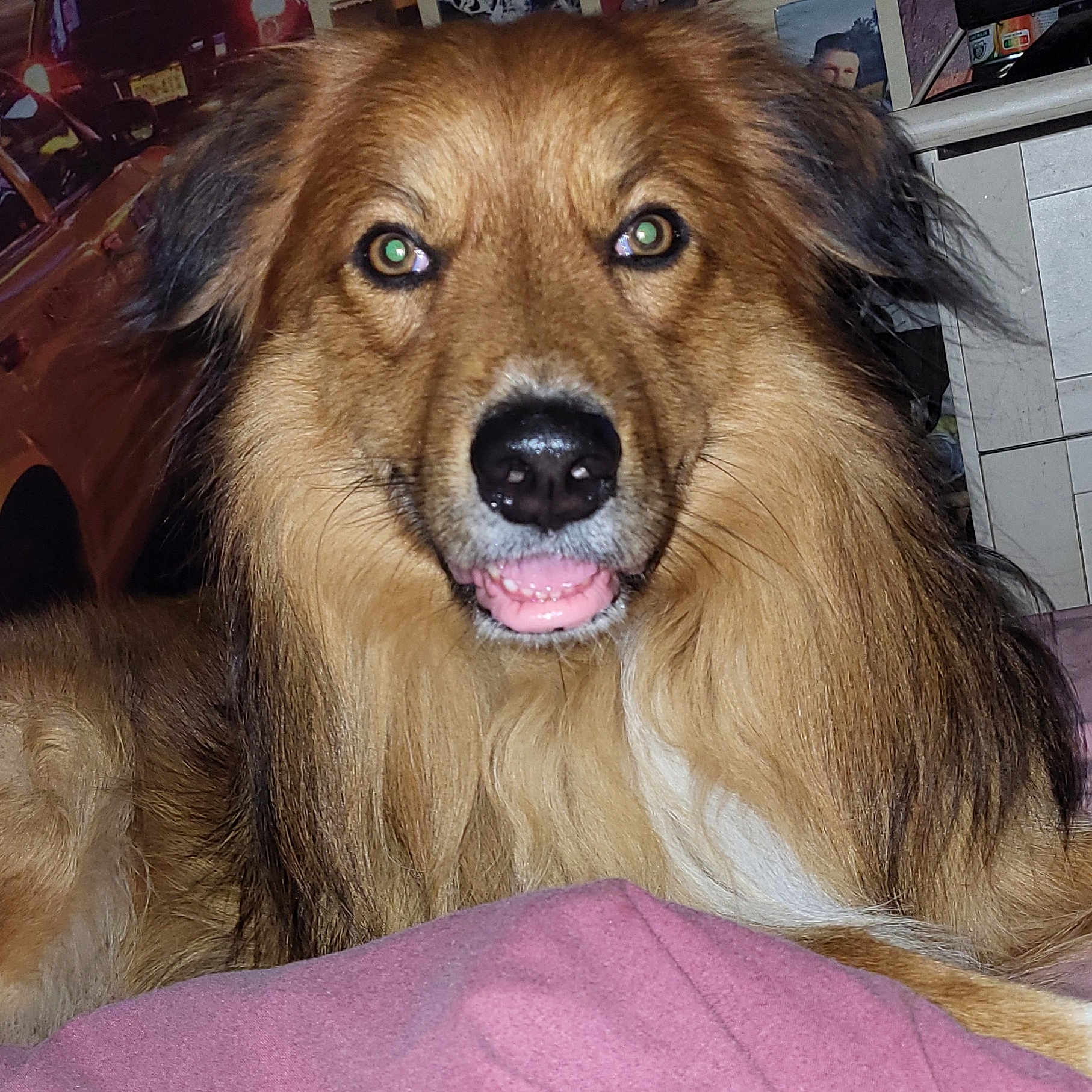Bailley
