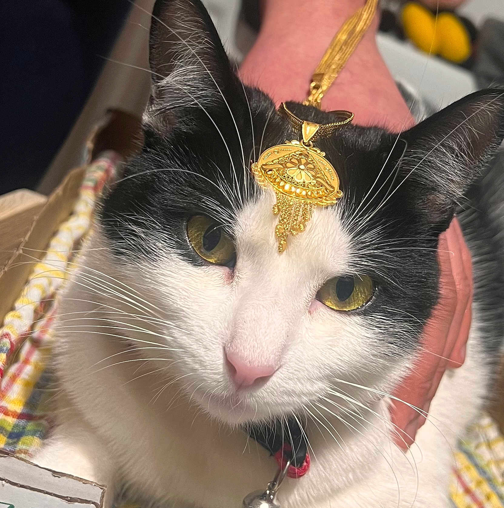 Billu