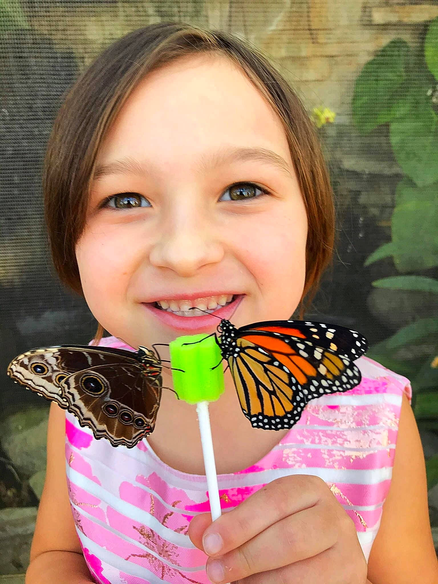 Camille is registered to the contest to win money with this photo: arthropod, beauty, butterfly, child, dress, face, finger, hand, happy, insect, joy, moths_and_butterflies, nail, organism, people_in_nature, person, photograph, plant, pollinator, skin