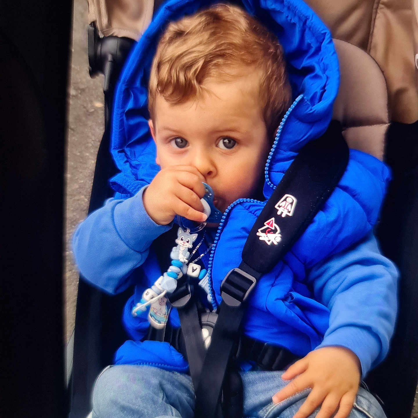 Azar a rejoint le concours — aidez-le/la à gagner de superbes lots ! baby, bodypart, clothing, coat, face, finger, glove, hand, head, hood, hoodie, jacket, jeans, knitwear, pants, person, photography, portrait, sweater, sweatshirt