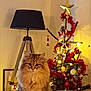 cat, fluffy_cat, christmas_tree, holiday_decorations, lamp, couch, indoor, festive, ornaments, lights, cozy, furniture, living_room, triangular_lamp, decor, soft_lighting, pet, sitting, domestic_cat, holiday