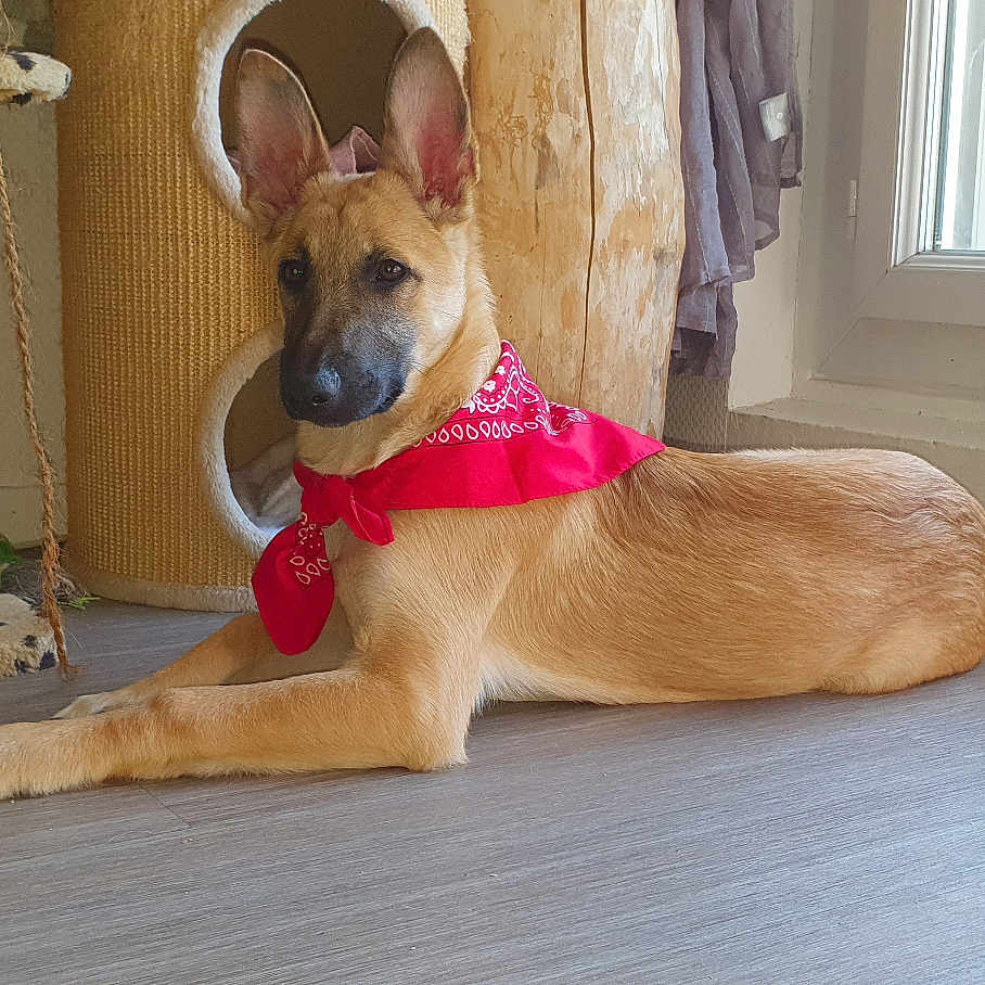 Vaiana