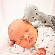 Nolhan a rejoint le concours — aidez-le/la à gagner de superbes lots ! baby, newborn, sleeping, plush_cat, soft_toy, swaddle, blanket, whale_print, portrait, infant, cute, resting, hand, face, closed_eyes, cozy, nursery, white_background, soft_texture, peaceful