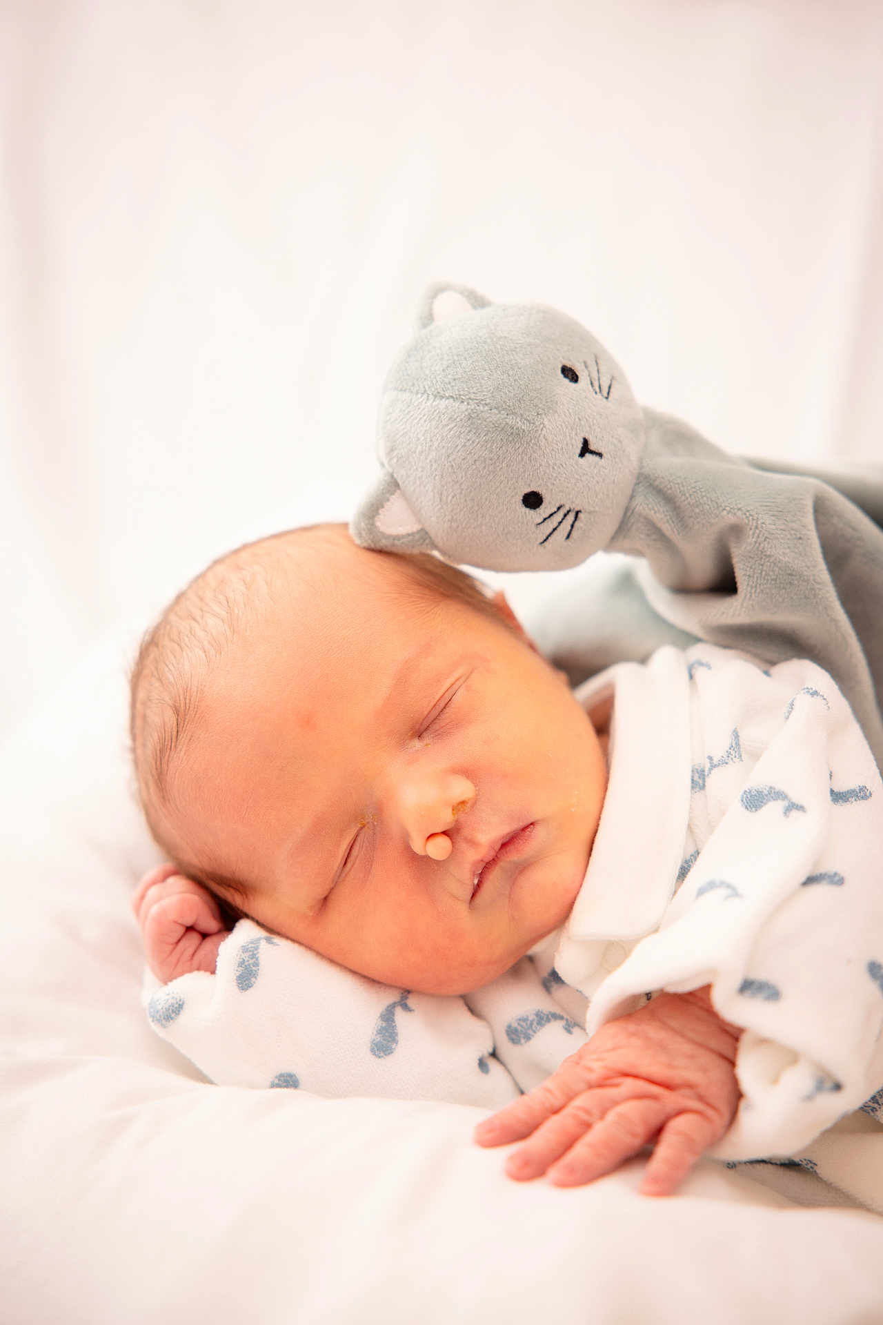 Nolhan a rejoint le concours — aidez-le/la à gagner de superbes lots ! baby, newborn, sleeping, plush_cat, soft_toy, swaddle, blanket, whale_print, portrait, infant, cute, resting, hand, face, closed_eyes, cozy, nursery, white_background, soft_texture, peaceful