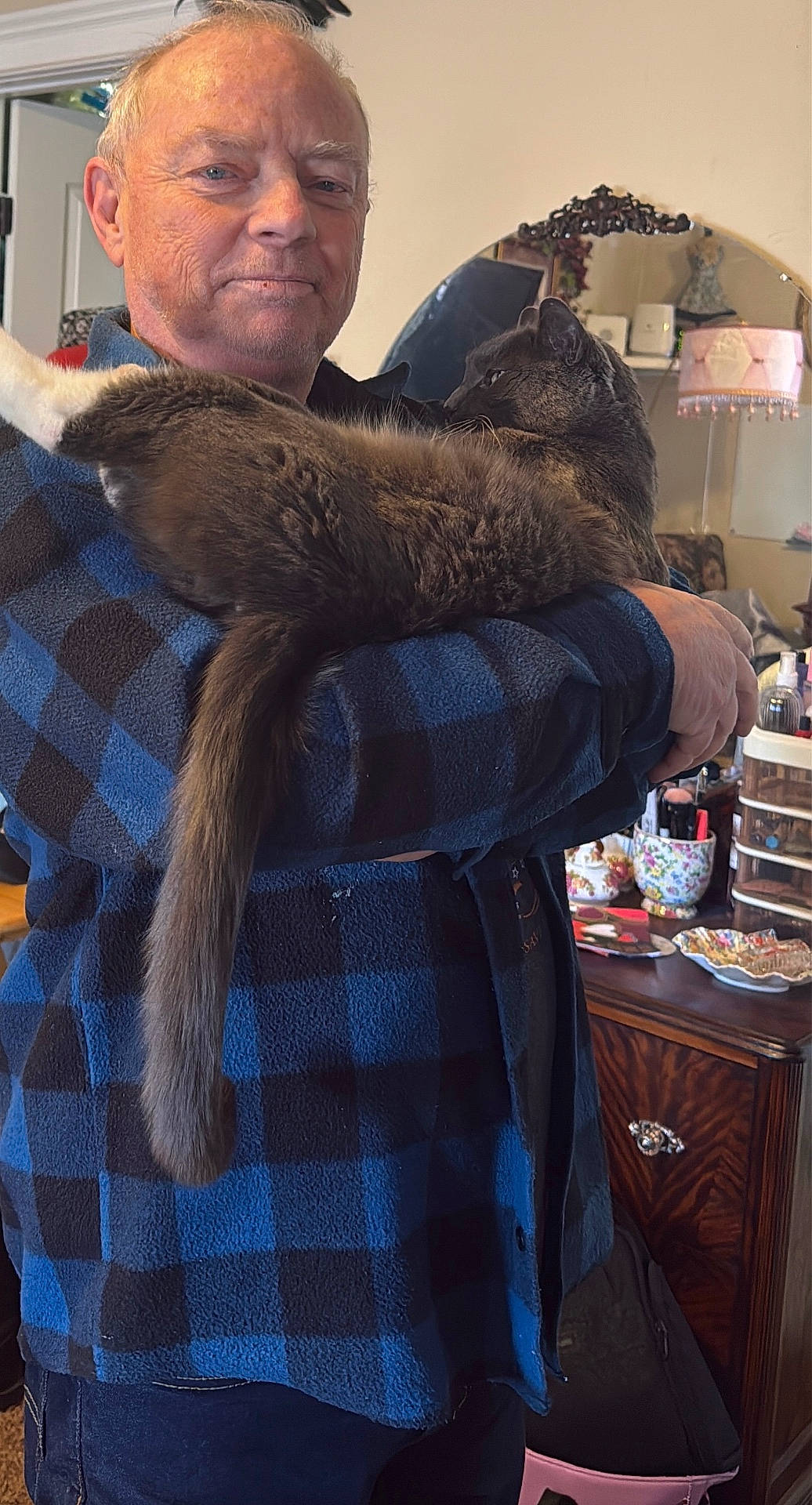 adult, blue, cat, checkered_pattern, comfort, dressed, dresser, facial_expression, furniture, gray_cat, holding, home_decor, indoor, lamp, long_tail, man, mirror, pet, portrait, shirt