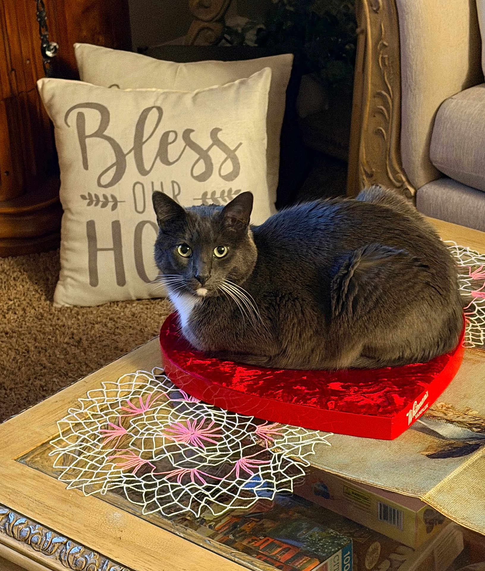 Baba Ganoush is registered to the contest to win money with this photo: cat, gray_cat, heart_shaped_box, red_box, table, doily, decorative_pillow, text_on_pillow, carpet, wooden_table, living_room, furniture, cozy, pet, indoor, relaxed, whiskers, ears, eyes, domestic_cat