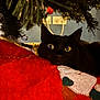 cat, black_cat, christmas_tree, tree_skirt, holiday, festive, indoor, decorations, red, green, yellow_eyes, close_up, pet, cute, cozy, christmas, animal, resting, curious, feline