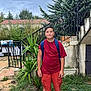 Sidi Mikhail participe au concours pour gagner de l'argent avec cette photo : boy, child, backpack, red_tshirt, orange_shorts, outdoor, grass, plants, stairs, railing, tree, sky, casual, standing, person, shoes, nature, garden, daytime, portrait