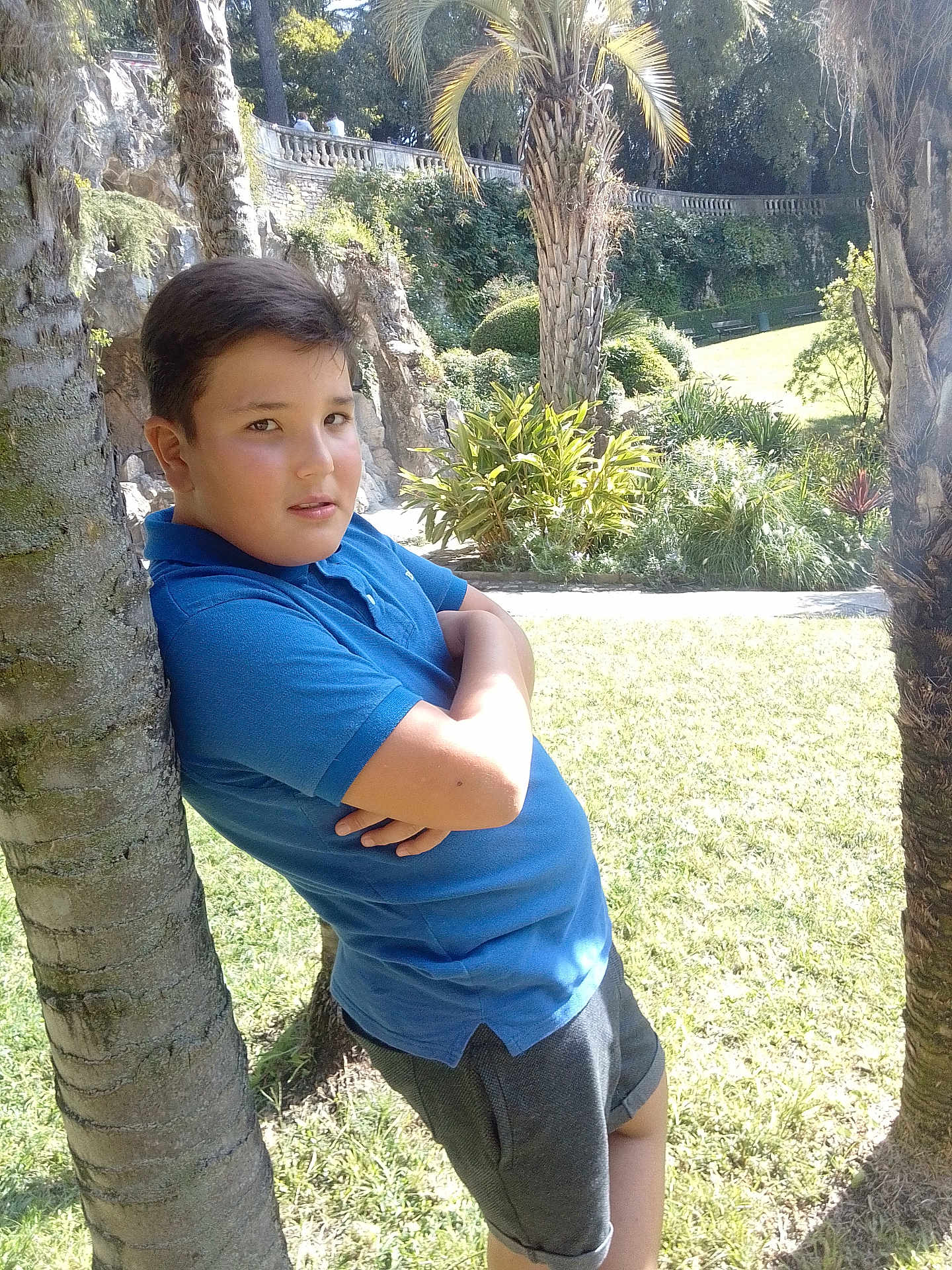 Sidi Mikhail a rejoint le concours — aidez-le/la à gagner de superbes lots ! boy, child, tree, park, outdoor, grass, sunlight, greenery, palm_tree, casual_clothing, shorts, blue_shirt, nature, daylight, person, standing, arms_crossed, leisure, summer, portrait