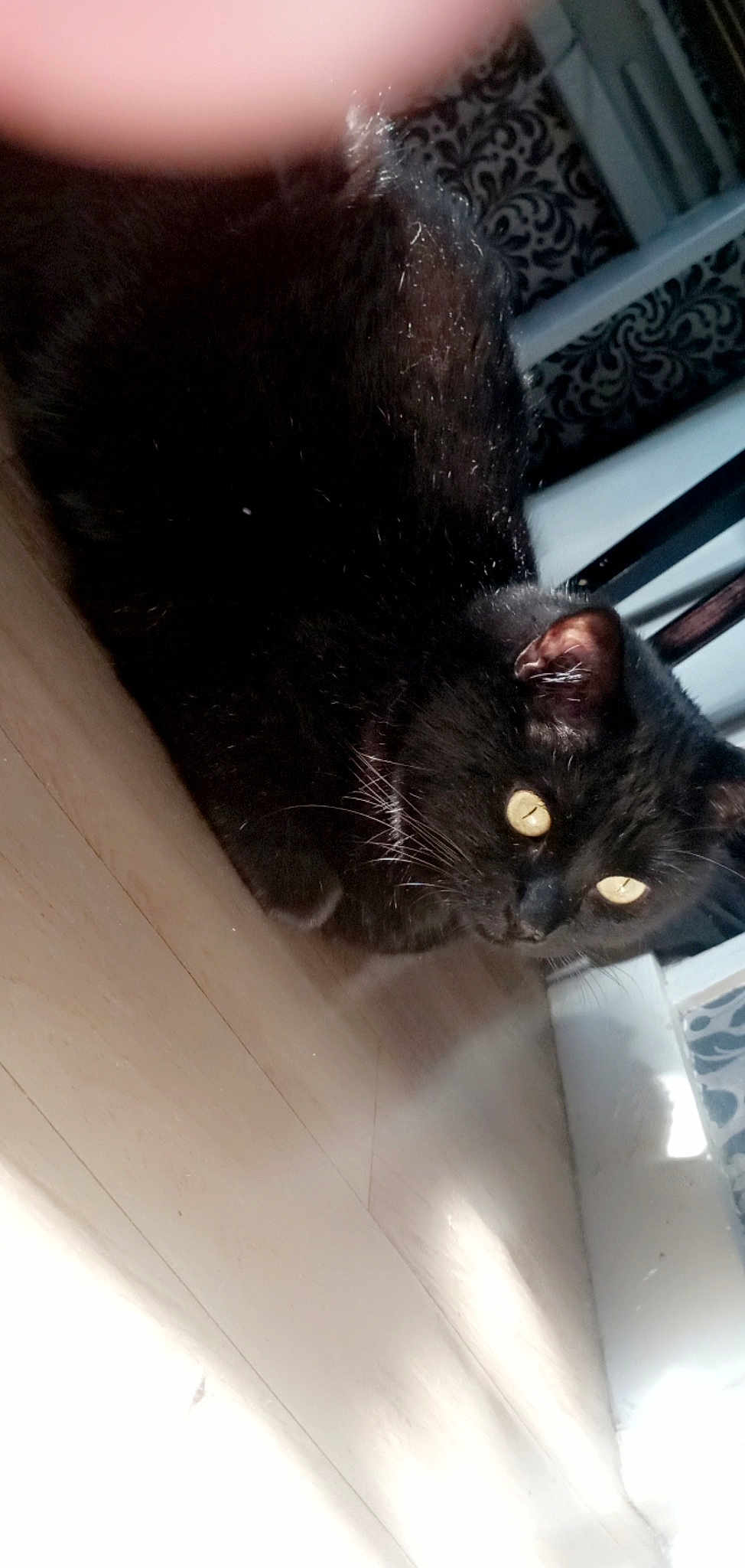 Boubou