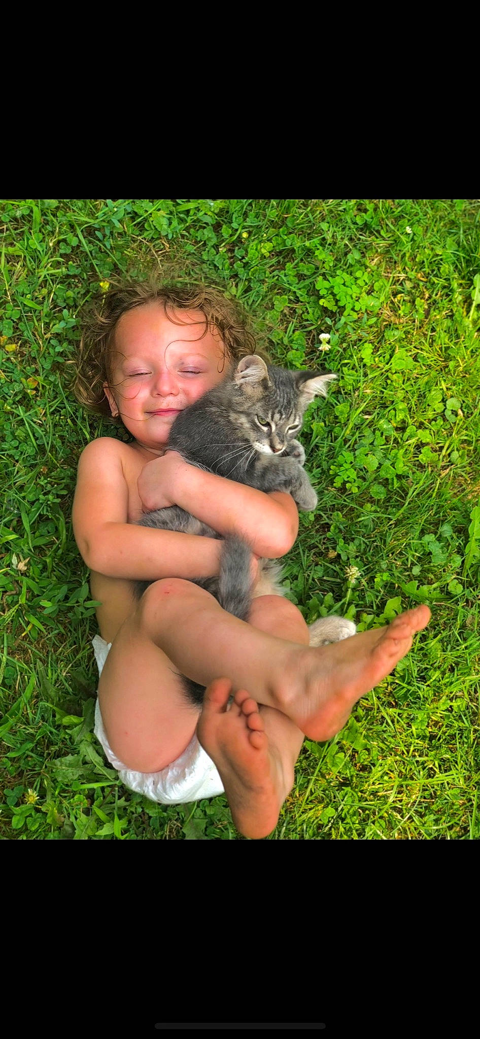 Veronica joined the competition — help win amazing prizes! adaptation, carnivore, cat, fawn, felidae, finger, grass, groundcover, happy, joy, lawn, organism, people_in_nature, person, plant, shorts, skin, small_to_medium_sized_cats, smile, terrestrial_animal