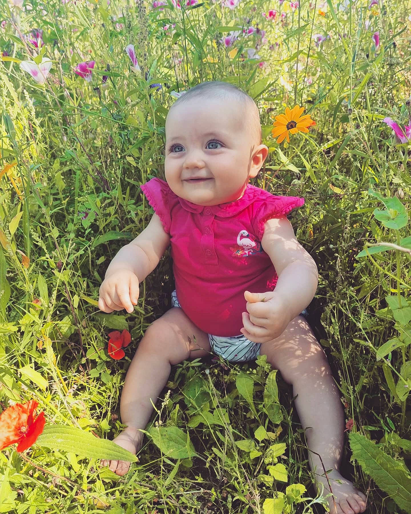 Ambre participe au concours pour gagner de l'argent avec cette photo : baby_laughing, baby_toddler_clothing, botany, flower, grass, grass_family, green, groundcover, happy, head, joy, leaf, meadow, natural_environment, people_in_nature, person, petal, plant, smile, summer