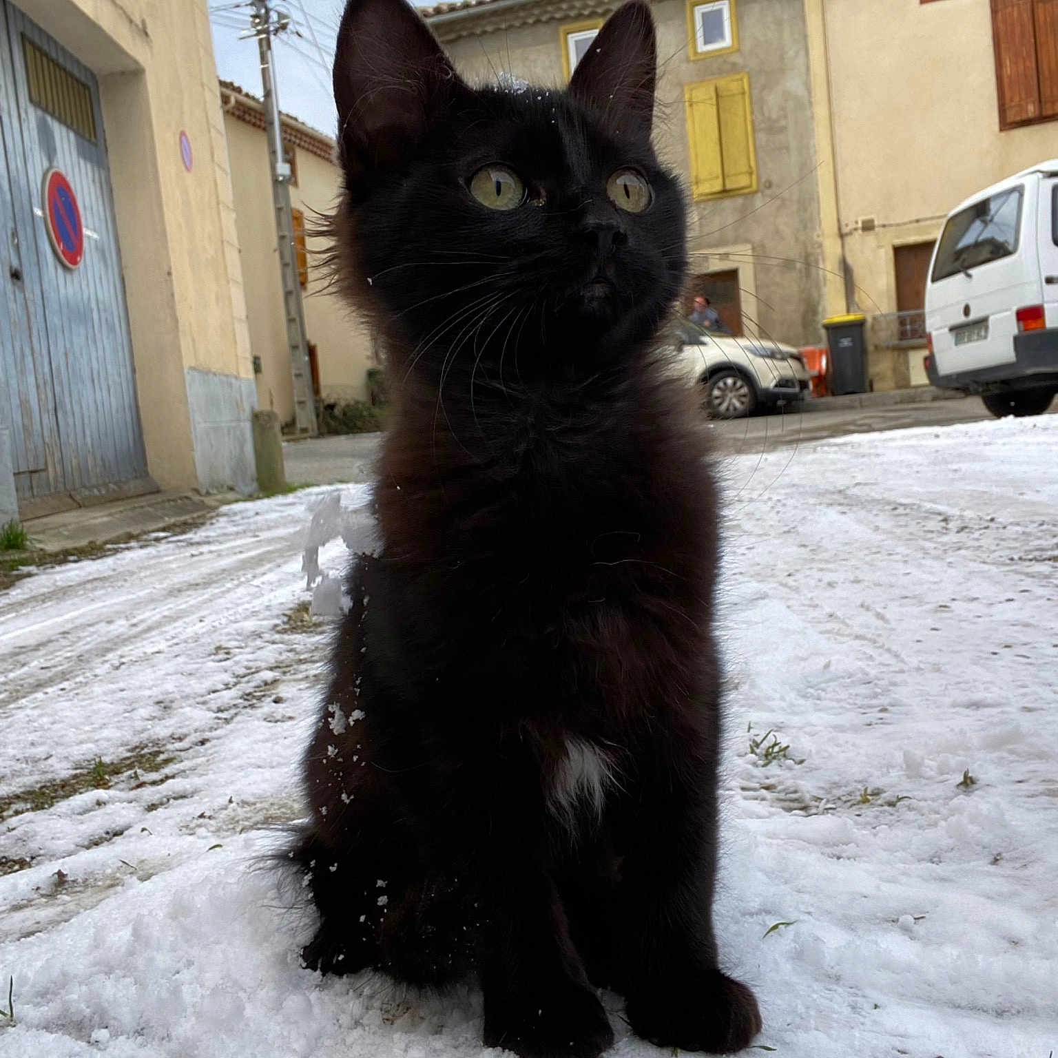 Kovu