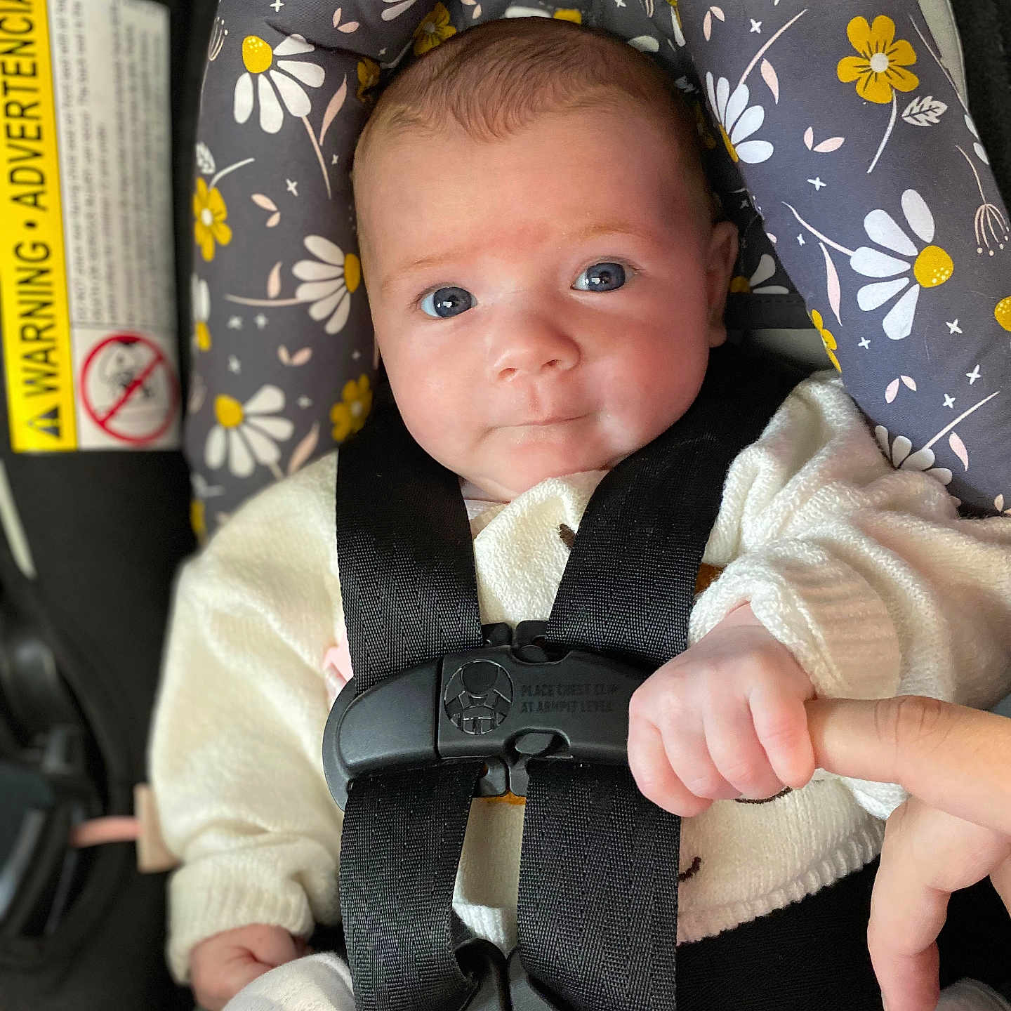 Lydia Grace Castillo