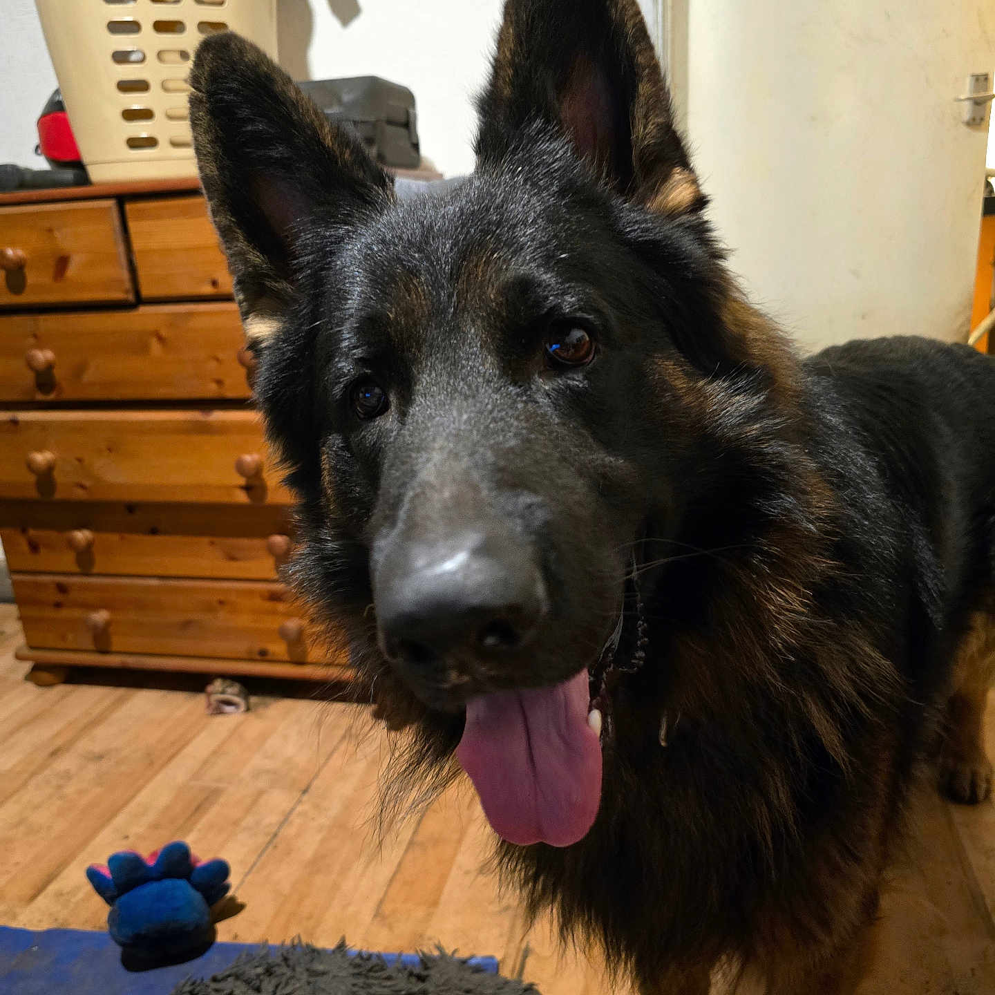 Blu