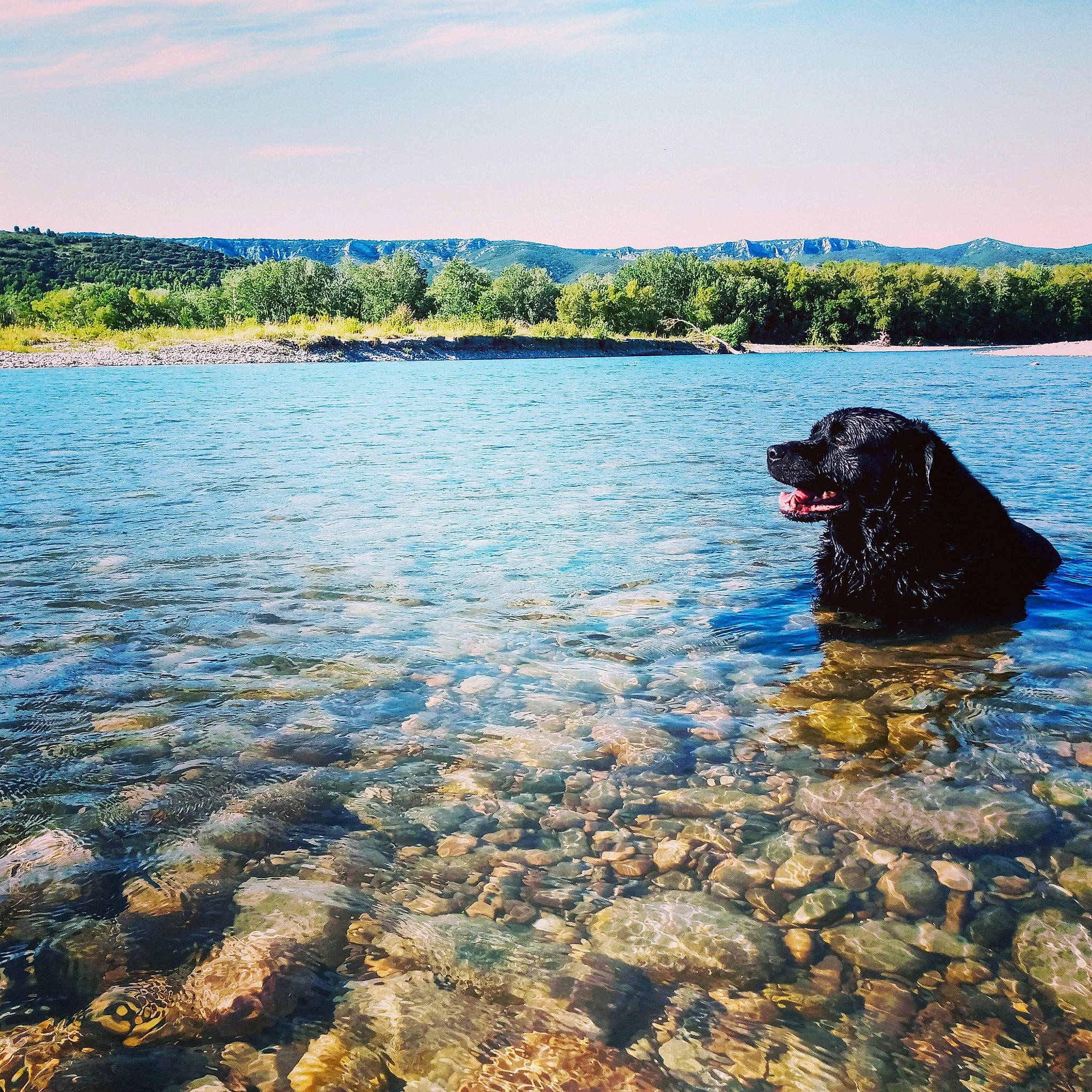 Marley participe au concours pour gagner de l'argent avec cette photo : bank, bay, beach, canidae, carnivore, cloud, coast, coastal_and_oceanic_landforms, dog, dog_breed, lake, ocean, rock, sea, sky, sporting_group, summer, vacation, water, wilderness