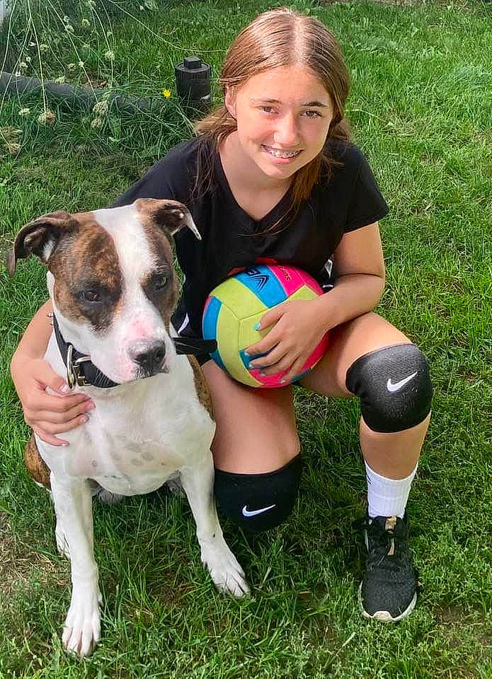 Ruffus joined the competition — help win amazing prizes! ball, canidae, carnivore, companion_dog, dog, dog_breed, fawn, football, grass, people_in_nature, plant, shorts, smile, soccer_ball, sporting_group, sports_equipment, t_shirt, thigh, working_animal, working_dog