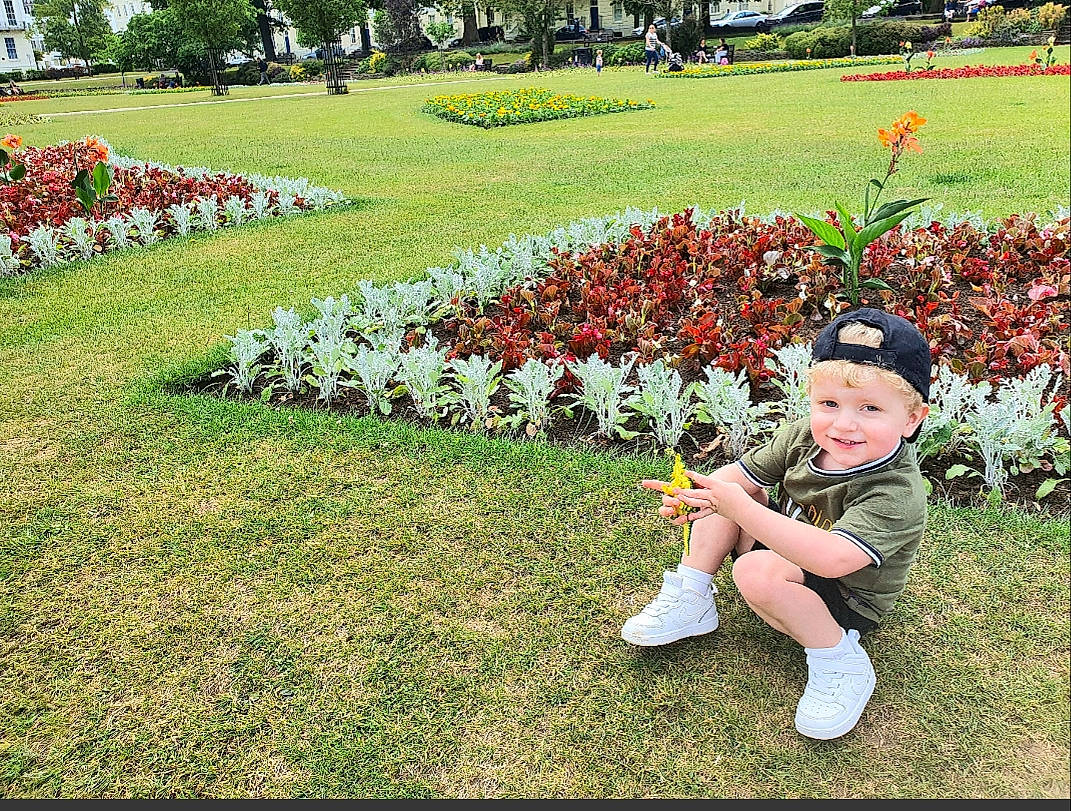 Rex joined the competition — help win amazing prizes! botany, child, flower, garden, grass, groundcover, happy, headwear, joy, lawn, leaf, leisure, park, people, person, plant, shrub, sitting, smile, spring