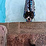 Rip is registered to the contest to win money with this photo: animal, black_and_white, blue, brown, camo_pattern, canine, dog, foot, footwear, life_jacket, looking_up, outdoor, person, pet, pool_edge, stone_floor, summer, swimming_pool, waiting, water