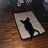 black_cat, cat, pet_bed, wooden_floor, christmas_tree, holiday_decorations, ornaments, candy_cane, figurines, sofa, blanket, indoor, relaxing, furniture, flooring, living_room, domestic_animal, animal, holiday, decor