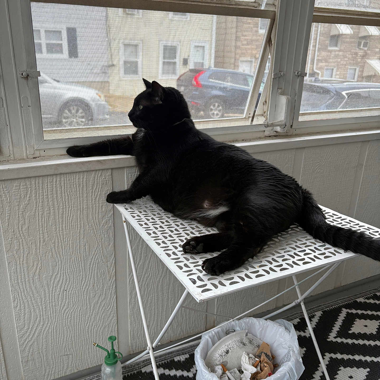 Oreo