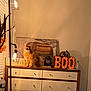Pumpkin is registered to the contest to win money with this photo: animal, boo, cat, cozy, curious_cat, decor, dresser, elephant_artwork, feline, globe, houseplant, indoor, lamp, lantern, letters, orange_tabby, pet, warm_lighting, water_bottle, wooden_furniture
