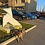 dog, parking_lot, car, sculpture, building, concrete, grass, sidewalk, sunlight, shadow, urban, outdoor, daytime, blue_sky, pet, collar, pavement, modern_art, vehicle, residential_area