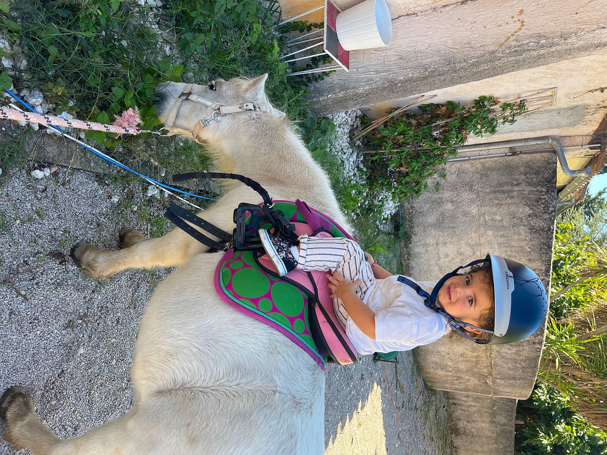Soann participe au concours pour gagner de l'argent avec cette photo : adventure, art, building, canidae, carnivore, cat, fawn, felidae, fun, fur, hat, headwear, house, leash, leisure, person, plant, recreation, tail, tree