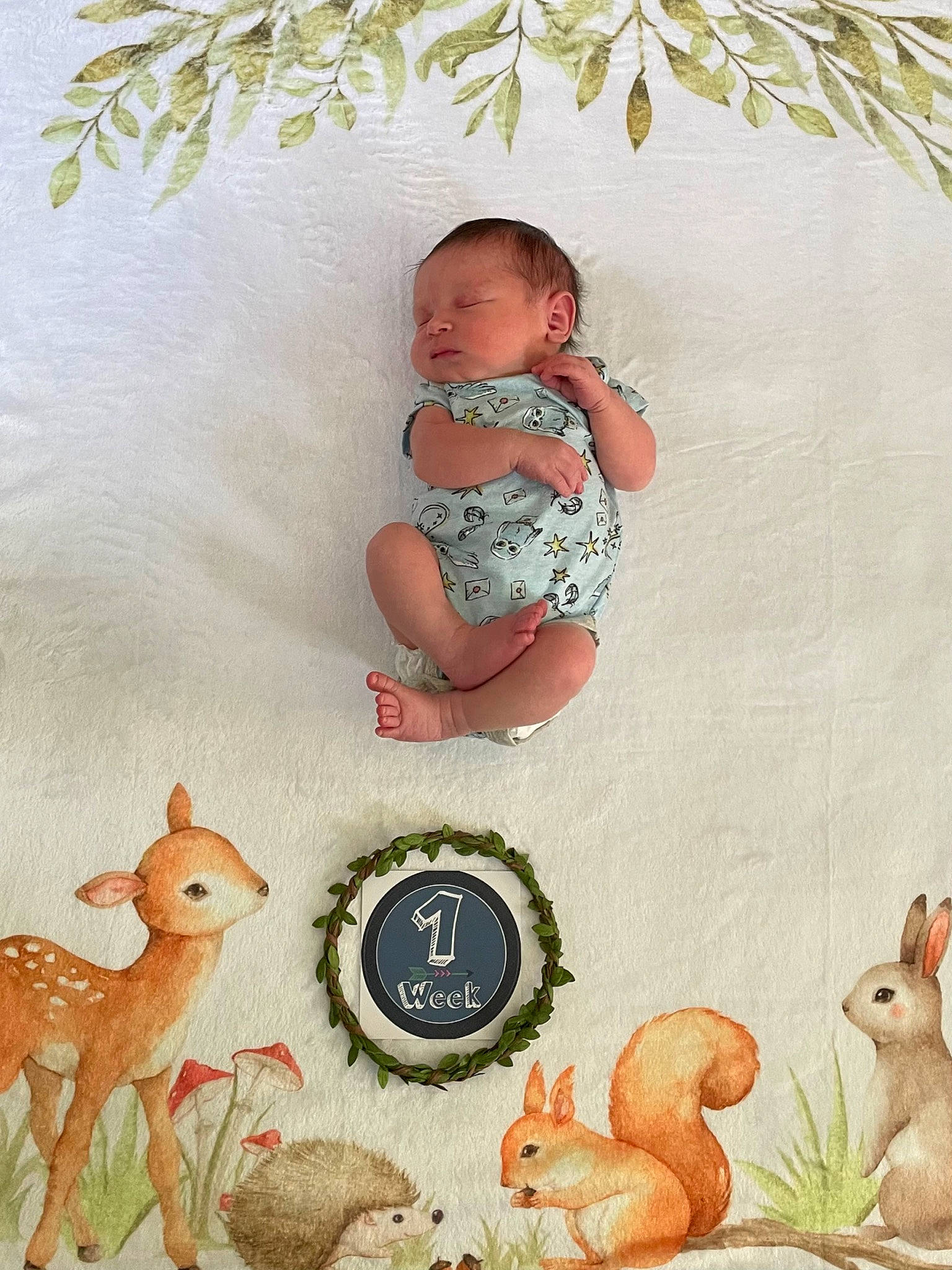 Sebastian is registered to the contest to win money with this photo: adaptation, art, baby, baby_toddler_clothing, clock, deer, fawn, fictional_character, happy, home_accessories, illustration, organism, painting, pattern, person, still_life, tableware, terrestrial_animal, toddler, vertebrate