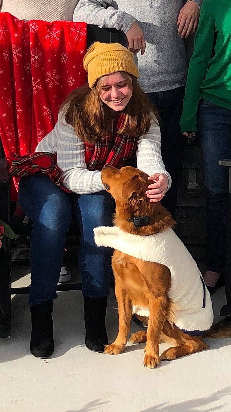 Gunner joined the competition — help win amazing prizes! canidae, carnivore, companion_dog, conformation_show, dog, dog_breed, fur, guard_dog, mammal, nova_scotia_duck_tolling_retriever, sporting_group, vertebrate