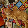cat, orange_tabby, couch, colorful, patterned_fabric, indoor, fireplace, relaxed, pet, furniture, home, cozy, animal, sleepy, resting, living_room, domestic_cat, cute, whiskers, fur