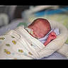 baby, bed, blanket, child, cushion, cute, delicate, healthcare, hospital, infant, nasal_tube, newborn, peaceful, portrait, resting, sleeping, soft, swaddled, tiny, young