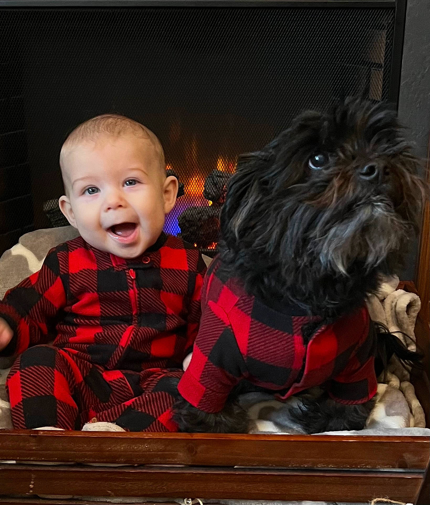 Christian joined the competition — help win amazing prizes! baby, baby_toddler_clothing, carnivore, companion_dog, dog, dog_breed, fictional_character, fur, happy, holiday, pattern, person, plaid, sleeve, small_terrier, smile, tartan, terrier, toddler, toy_dog