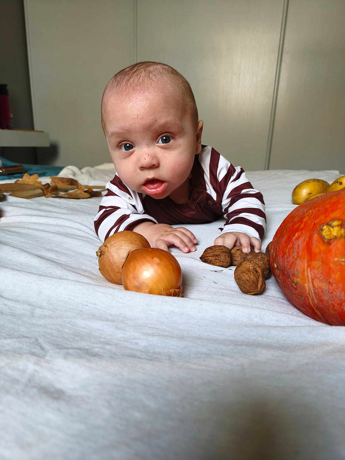 Yzio Barthelemy participe au concours pour gagner de l'argent avec cette photo : baby, infant, bed, onion, walnut, pumpkin, striped_clothing, curious, indoor, white_bed_sheet, child, face, hands, person, food, vegetables, fruit, orange, brown, closeup