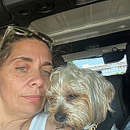 Penny And Bubba is registered to the contest to win money with this photo: woman, dog, pet, selfie, closeup, vehicle_interior, tattoo, sunglasses, shoulder, casual, companion, relaxed, daylight, bridge, window, seat, human, canine, candid, portrait