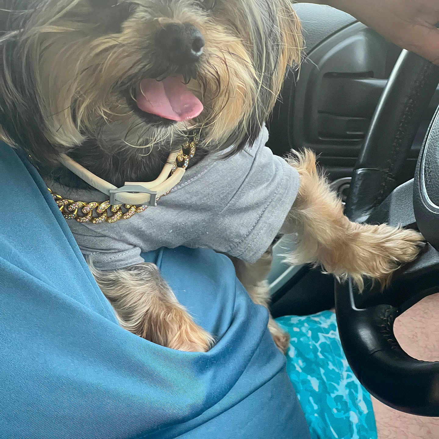 Rocky