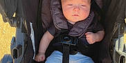 Westin joined the competition — help win amazing prizes! baby, stroller, blanket, sunlight, infant, child, seatbelt, clothing, foot, hand, outdoor, person, portrait, comfort, resting, soft, casual, infantwear, babygear, relaxed