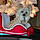 Gizzi