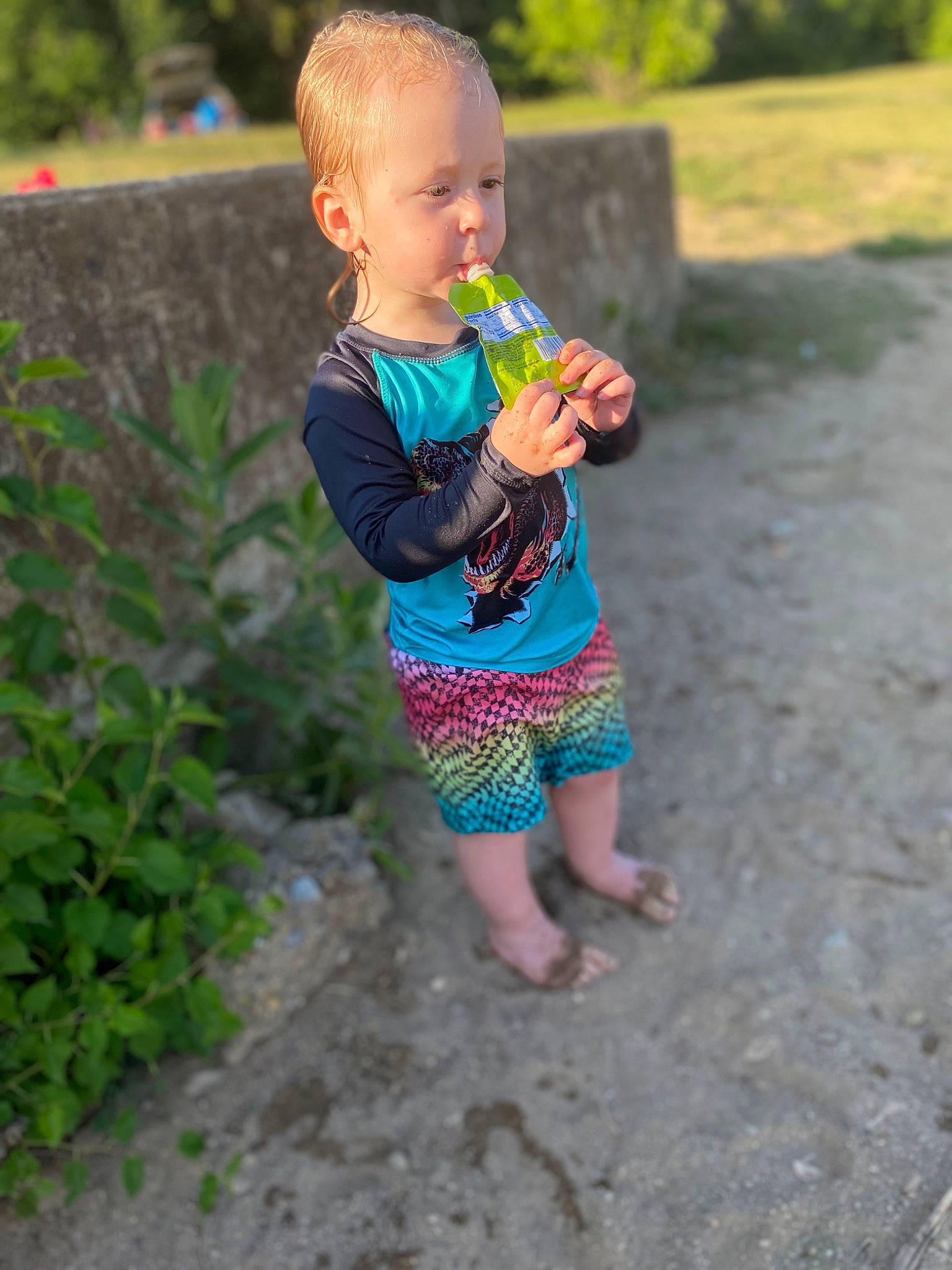 Mason is registered to the contest to win money with this photo: baby, baby_toddler_clothing, barefoot, fun, grass, happy, head, lawn, leg, leisure, people_in_nature, person, plant, recreation, shorts, soil, summer, t_shirt, toddler, tree