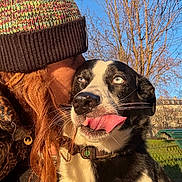 Diva a rejoint le concours — aidez-le/la à gagner de superbes lots ! dog, person, hat, blue_eyes, tongue_out, kiss, outdoor, sunlight, winter_clothing, tree, sky, park, collar, leash, black_and_white, affection, close_up, happy, pet, nature