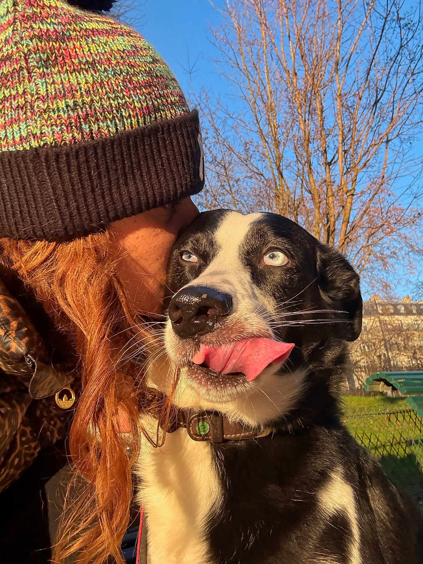 Diva a rejoint le concours — aidez-le/la à gagner de superbes lots ! dog, person, hat, blue_eyes, tongue_out, kiss, outdoor, sunlight, winter_clothing, tree, sky, park, collar, leash, black_and_white, affection, close_up, happy, pet, nature