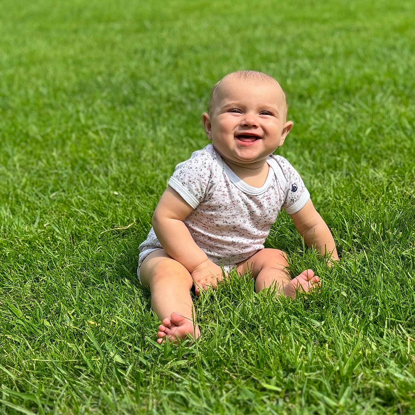 Angelina participe au concours pour gagner de l'argent avec cette photo : baby, babylaughing, backyard, crawling, face, field, grass, green, happy, head, lawn, nature, outdoors, park, person, photography, plant, portrait, sitting, yard