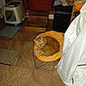 animal, cat, chair, cluttered_room, cozy, curled_up, cushion, domestic, fabric, floor, furniture, glowing_eyes, indoor, litter_box, orange_cat, pet, resting, steps, tile_floor, white_cloth