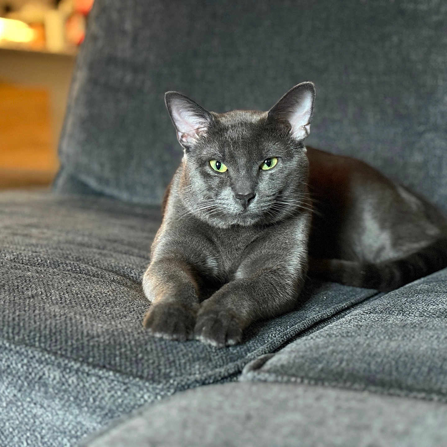 Smokey