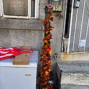 Milkshake joined the competition — help win amazing prizes! air_conditioner, cat, concrete_wall, decorations, door, freezer, garland, house_number, mailbox, metal_gate, outdoor, peeking_cat, red_bag, staircase, steps, tinsel, traffic_cone, urban, window, wood_plank