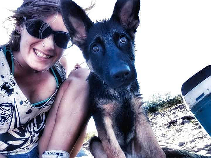 Ptiloup a rejoint le concours — aidez-le/la à gagner de superbes lots ! canidae, carnivore, companion_dog, dog, dog_breed, electric_blue, eyewear, fawn, fun, fur, gesture, glasses, goggles, happy, herding_dog, recreation, smile, sporting_group, sunglasses, travel