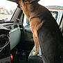 dog, german_shepherd, vehicle, interior, dashboard, window, seat, water_jugs, cables, pet, looking_out, alert, ears_up, side_view, transport, canine, companion, road_trip, indoor, daylight
