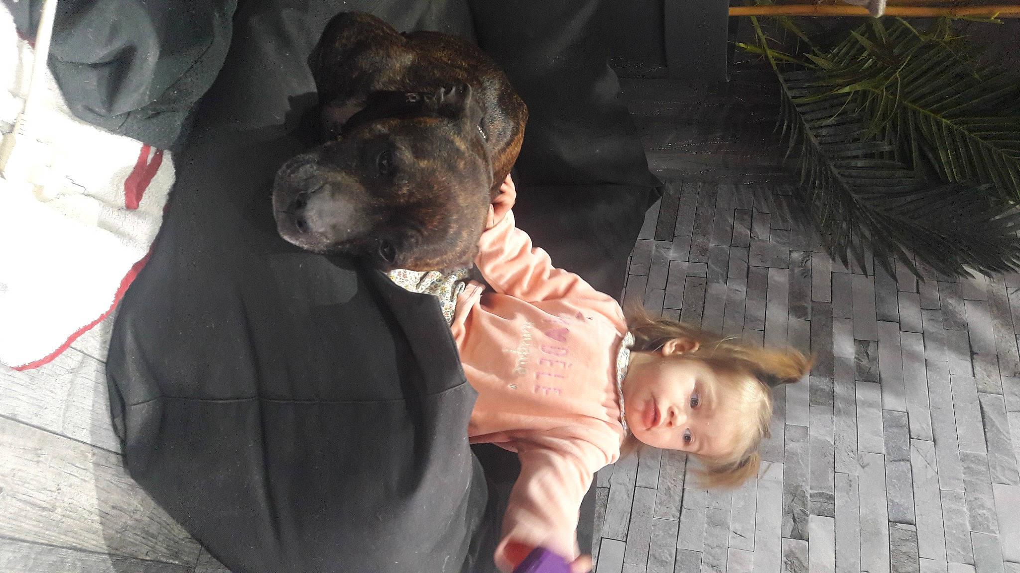 Osiris a rejoint le concours — aidez-le/la à gagner de superbes lots ! child, event, flash_photography, formal_wear, fun, gesture, happy, hug, leisure, love, romance, sitting, suit, tie, toddler, tree