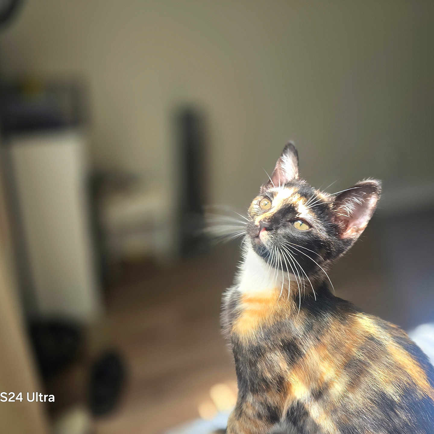 Kira