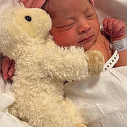 Eleanor is registered to the contest to win money with this photo: newborn, baby, infant, pink_bow, headband, stuffed_animal, plush_lamb, sleeping, hospital_bracelet, white_sheet, closeup, portrait, cute, hand, skin, soft_texture, cozy, nursery, bed, blanket